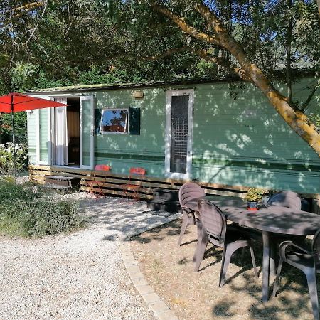Bungalow Chez Gilly Boisset-et-Gaujac Ngoại thất bức ảnh